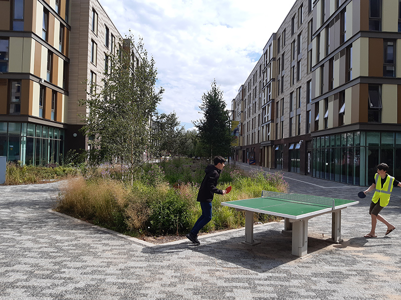 An image of a table tennis table next to a SuDS feature at Westfield Court on the University of Hull campus