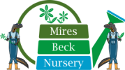 Logo for Mires Beck Nursery