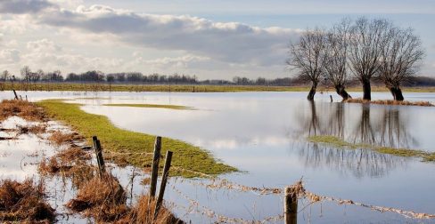 FREE flood surveys and follow-up support on offer to farmers, landowners and rural businesses